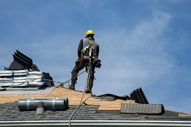 Professional Roofing technician working in Oslo, MN